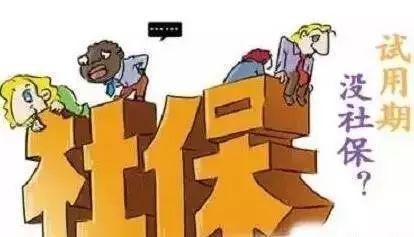 企業(yè)的試用期是否需要繳納社會保險？