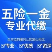 實施穩(wěn)定就業(yè)的政策你知道是什么嗎？